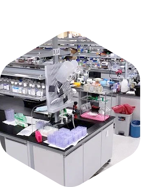 Salar-E-Millat Research Centre